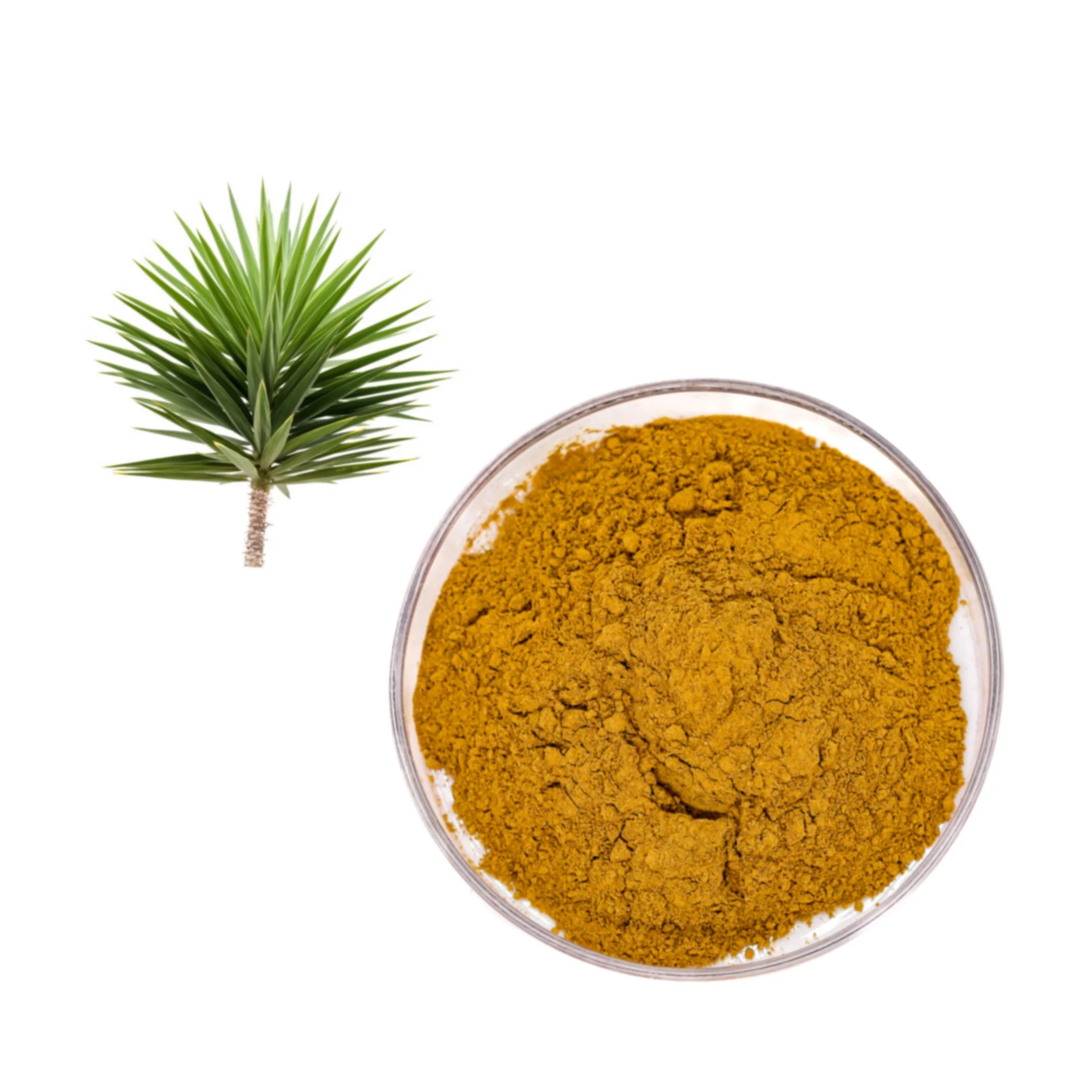 В продаже экстракт Yucca schidигера порошок