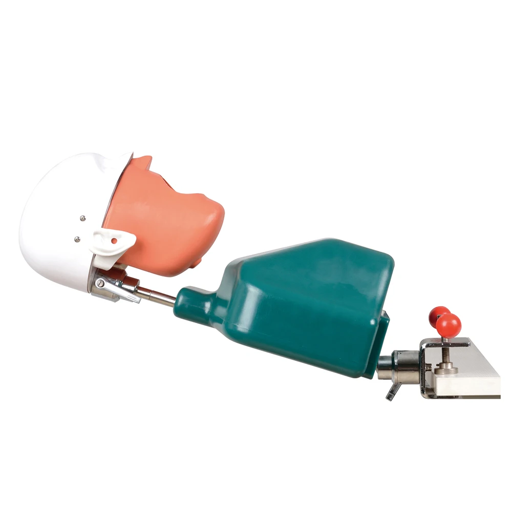 phantom head simulator dental magnetic jaw surgical dental simulator dental simulation unit