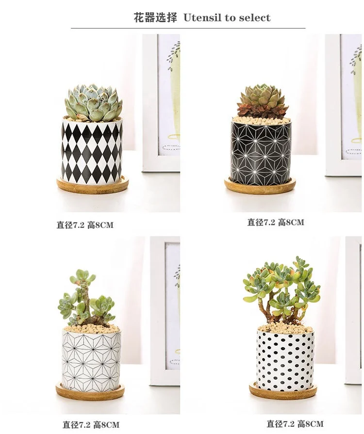 
Chinese Ceramic Flowerpot Indoor Decoration Cheap Wholesale Small Mini Ceramic Flower Pot 