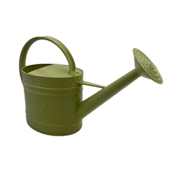 Modern Style Factory Price Promotional Wholesale Metal Garden Pots Watering Can for Outdoor Indoor House Plants
