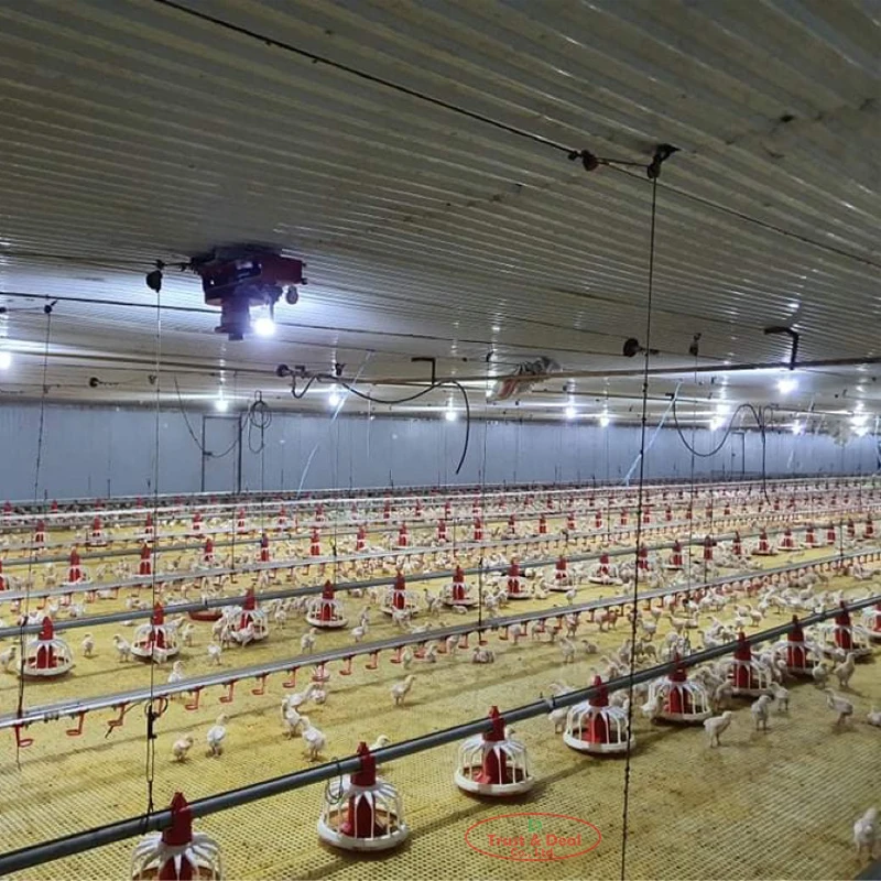 broiler breeer Chicken Feeding Water Drinking System Pan Feeding System