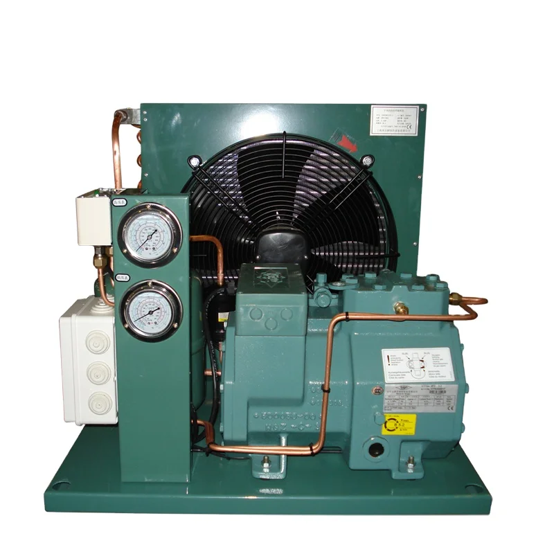Low Temperature Condensing Unit Air Cooled Cold Room Refrigeration Unit Condensing Unit