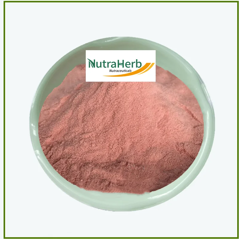 Pure Natural Guava Fruit Powder Guava Juice Powder for Food Ingredients