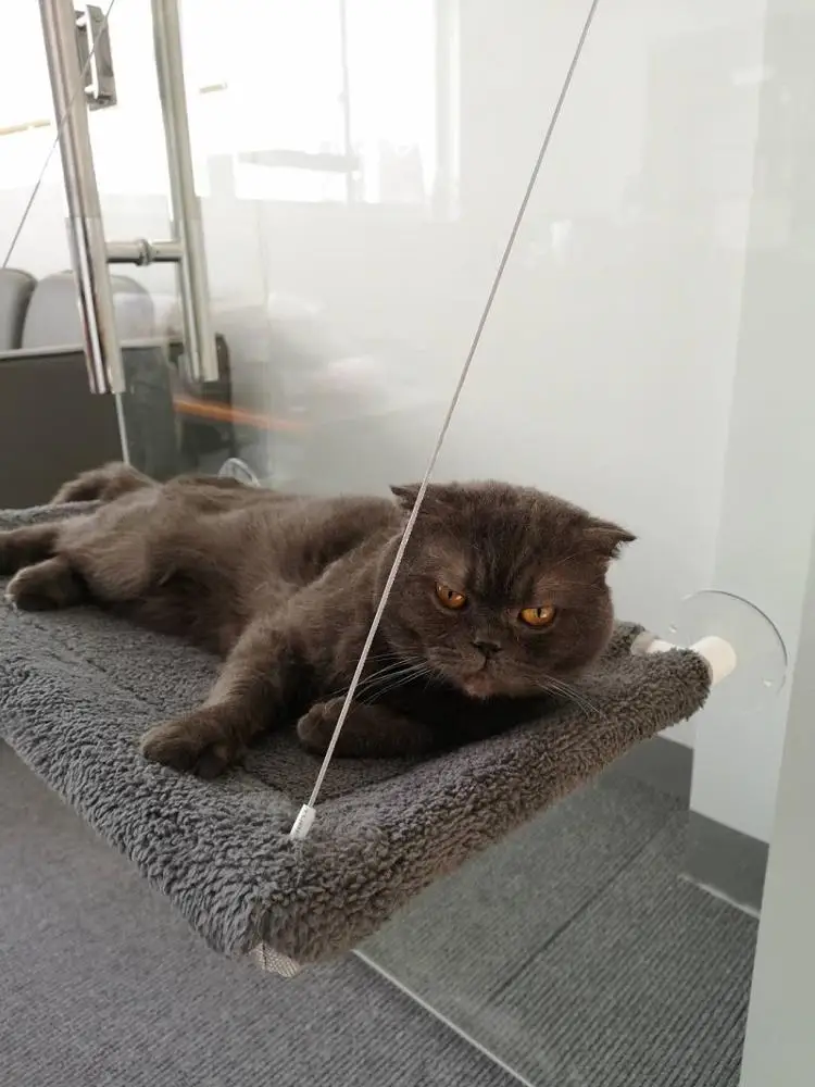 
Mounted Cat Window Bed with Heavy Duty Suction Cups & Steel Wires 
