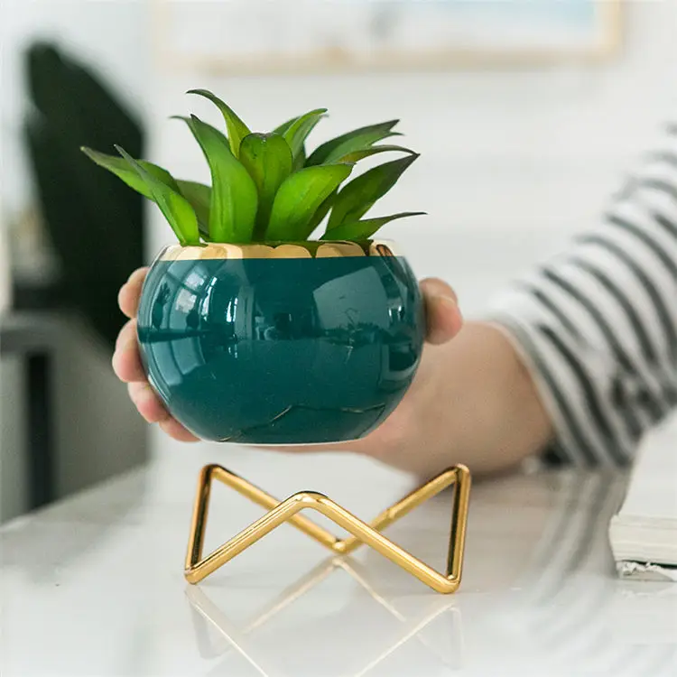 Wholesale Cactus Succulents Flower Pot Ceramic Mini Succulent Planter Pots With Metal Stand