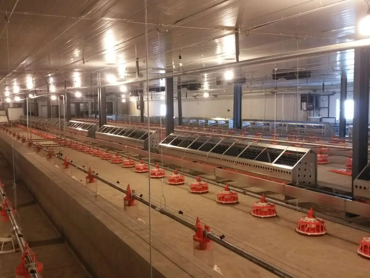 Auto lighter Infrared catalytic gas heater for brooder,chicks,pig farming