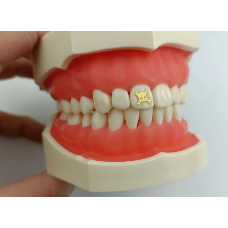Dental Acrylic Resin Teeth Denture Teeth Artificial Teeth False Tooth