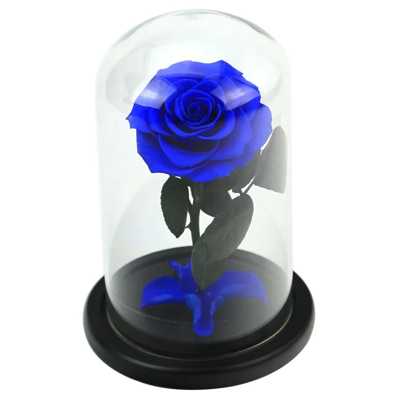 rose preserved glass dome in gift box  hot sale eternal real stabilized flower with stem for christmas