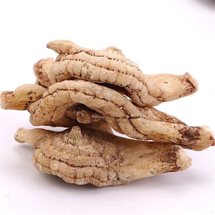 Bai ji Wholesale Herbal Rhizoma Bletillae Dried Bletilla Striata Root