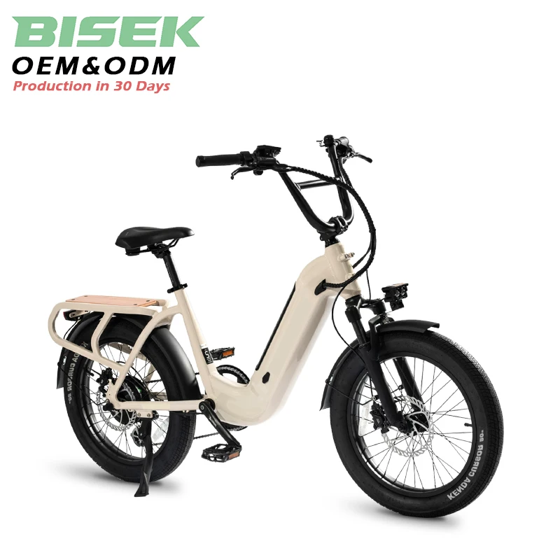 OEM 20inch 36v 15ah Li-ion Battery 350w electric cargo bike Delivery cargo electric bike