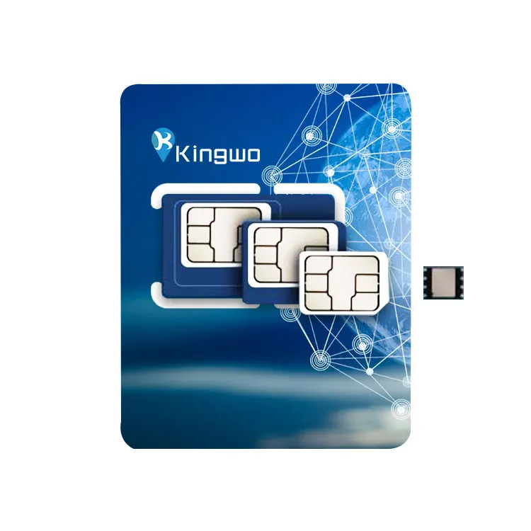 International IoT Data Works Unlimited IoT Sim Card Roaming Card For GPS Tracker