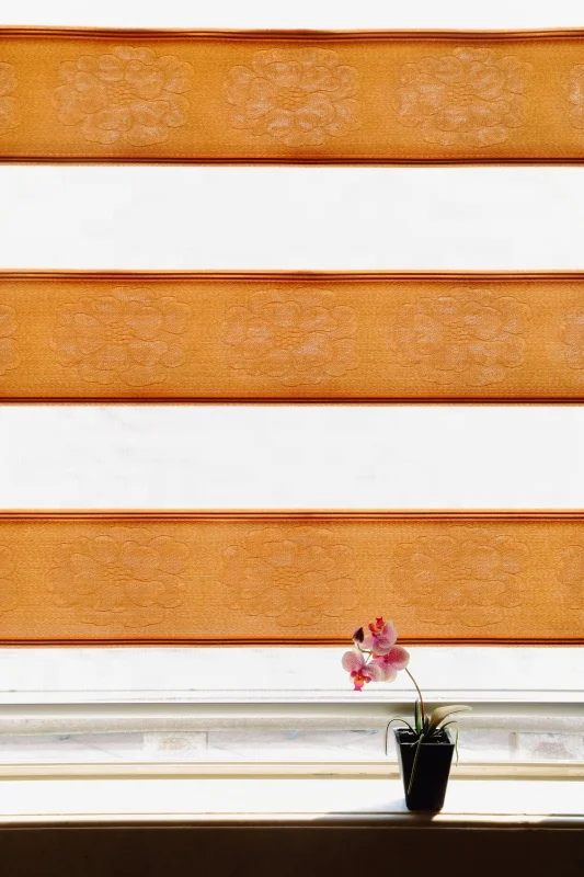 38mm diameter economy Zebra blind parts roller blind components RDT3837B-RB05B-R2