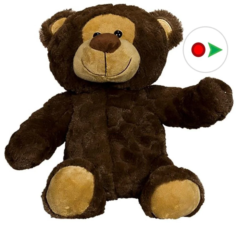 Custom plush teddy bear repeats what you say stuffed animal toy plush bear toy record your voice talking plush teddy bear