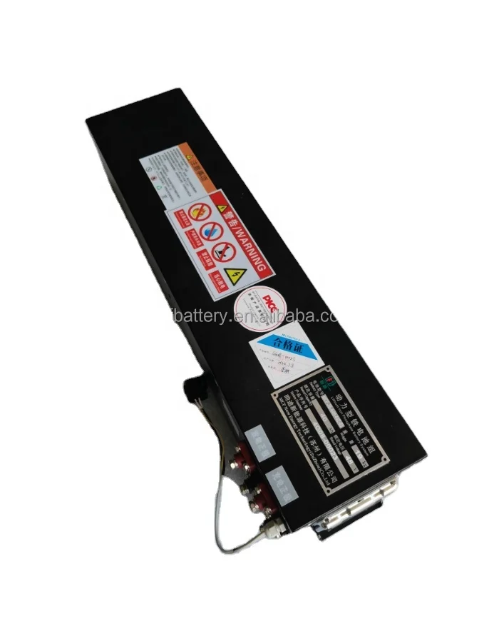 Пользовательские 12V 24V 48V 80V AGVs AMR аккумуляторные батареи для складских роботов электромобили и тележки гольфа типа Lifepo4