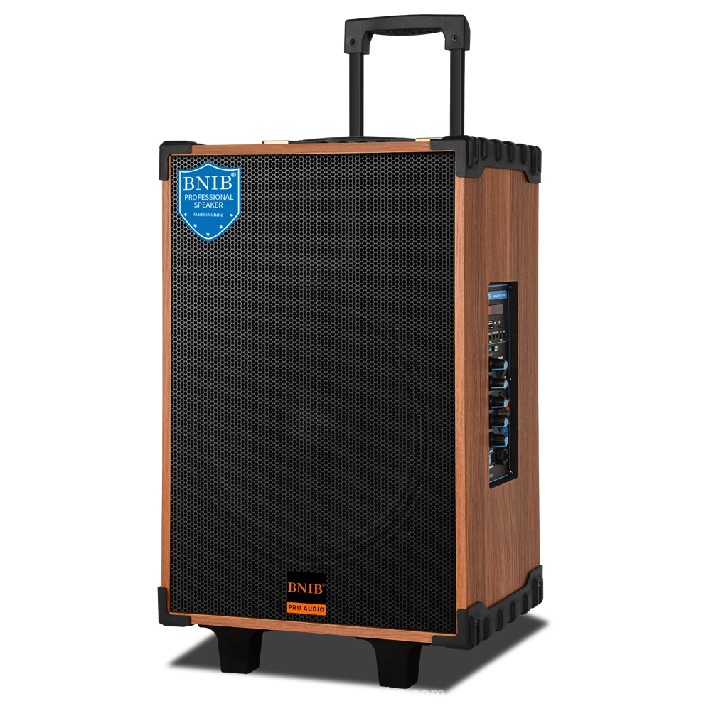 New Design OEM Speaker Wood Karaoke Speaker Wireless Speaker With Microphone Support BT TF USB For Dancing Outdoor Wholesale