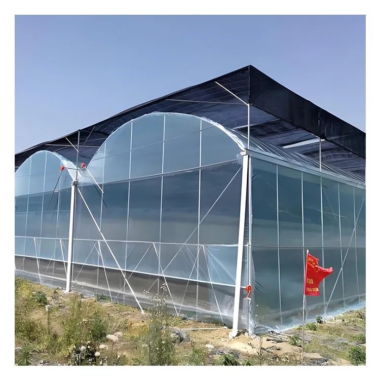 China Manufacturer Factory Direct Sale Algae-Proof Effect High Light Transmittance Diffusion Po Film Greenhouse Plastic Film