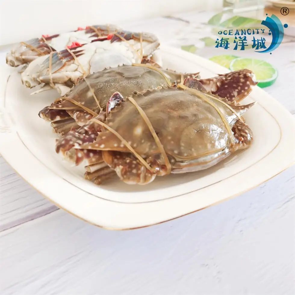 natural Fresh Frozen Seafood Swimming Crab Live Crabs Quick Freezing at -40
