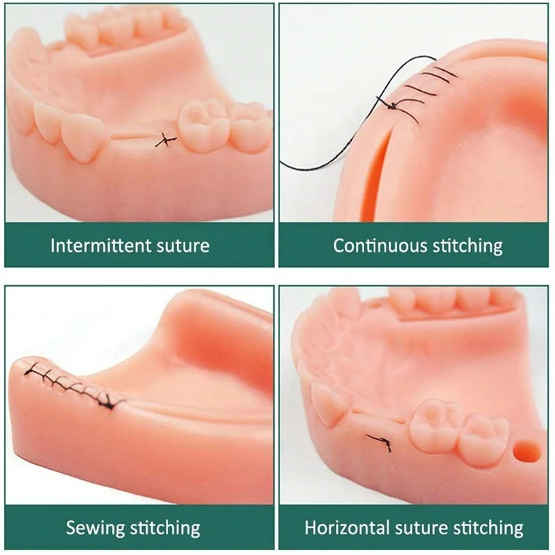 dental suture practise model