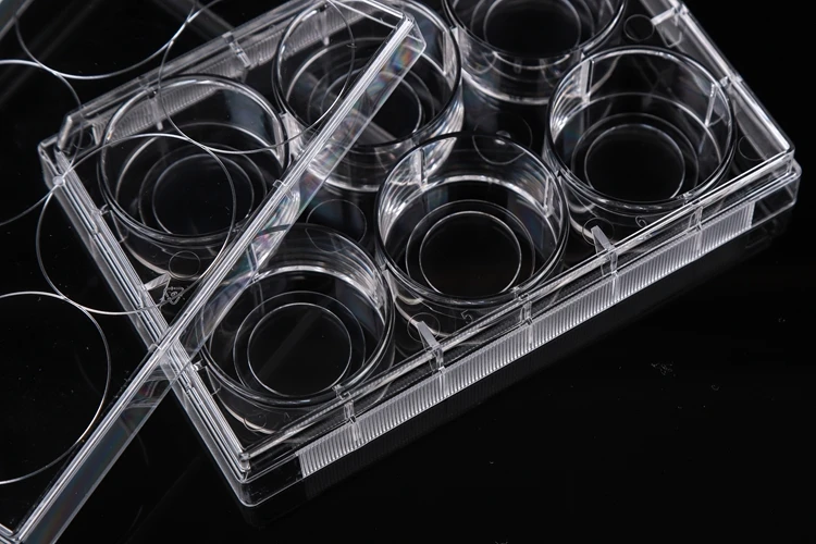 glass bottom cell culture dish