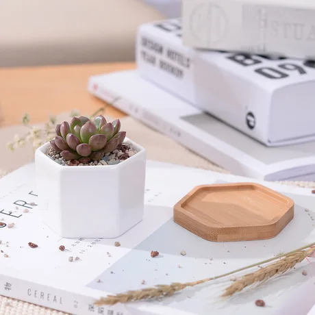 Шестигранные маленькие белые горшки для суккулентов с бамбуковым лотком, геометрический контейнер-держатель для растений С КАКТУСОМ