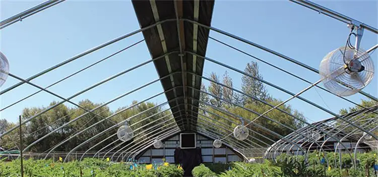ONE Low Cost Polyhouse Agriculture Greenhouse Light Deprivation Blackout