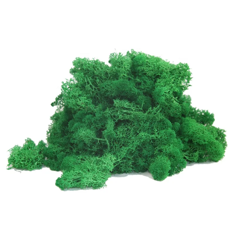 wholesale purple natural non-artificial reindeer preserved moss grass roses flower stabilized for wall decoration