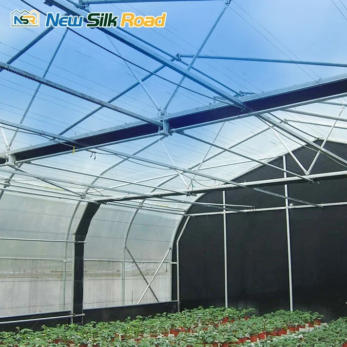 NSR Greenhouse Single Span Blackout Hemp Light Deprivation Greenhouse For Hemp
