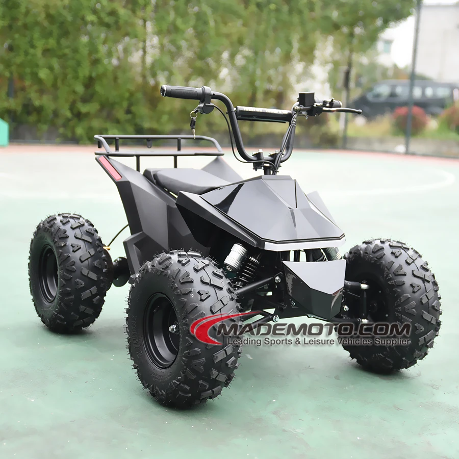 8-дюймовый 2000 Вт 4x4 Ev Atv 3-колесный электромобиль с аккумулятором и квадроцикл