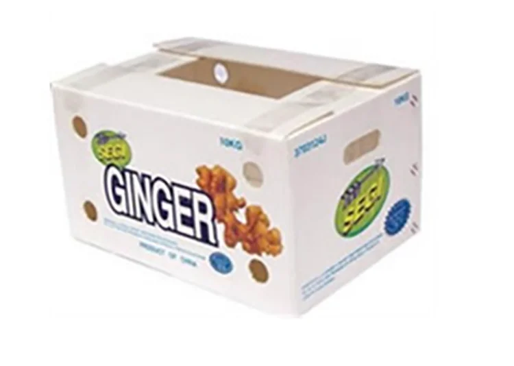 Ginger Box Ginger Plastic Box Fresh Ginger Plastic Packaging Box