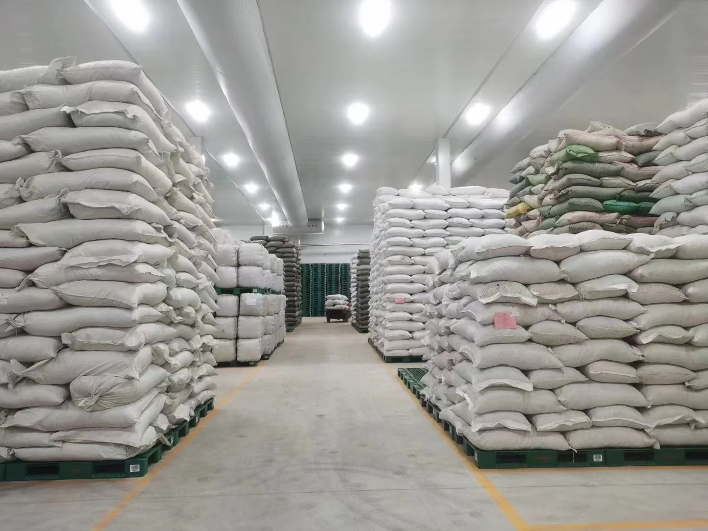 Guangxi WW Organic Dried Cinnamon Sticks Natural Raw Cinnamon Powder China New Crop Reasonably Priced Cassia Cinnamon Sticks