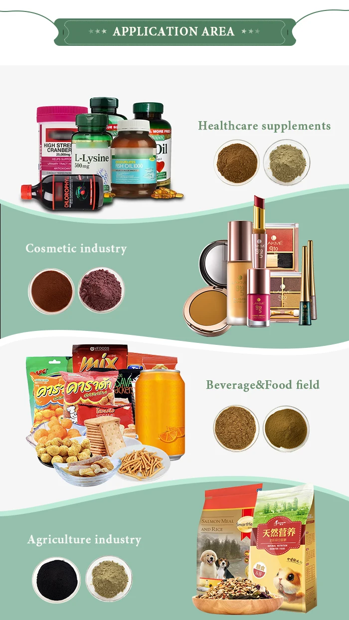 Chinese factory supply cumin Powder  with fast delivery