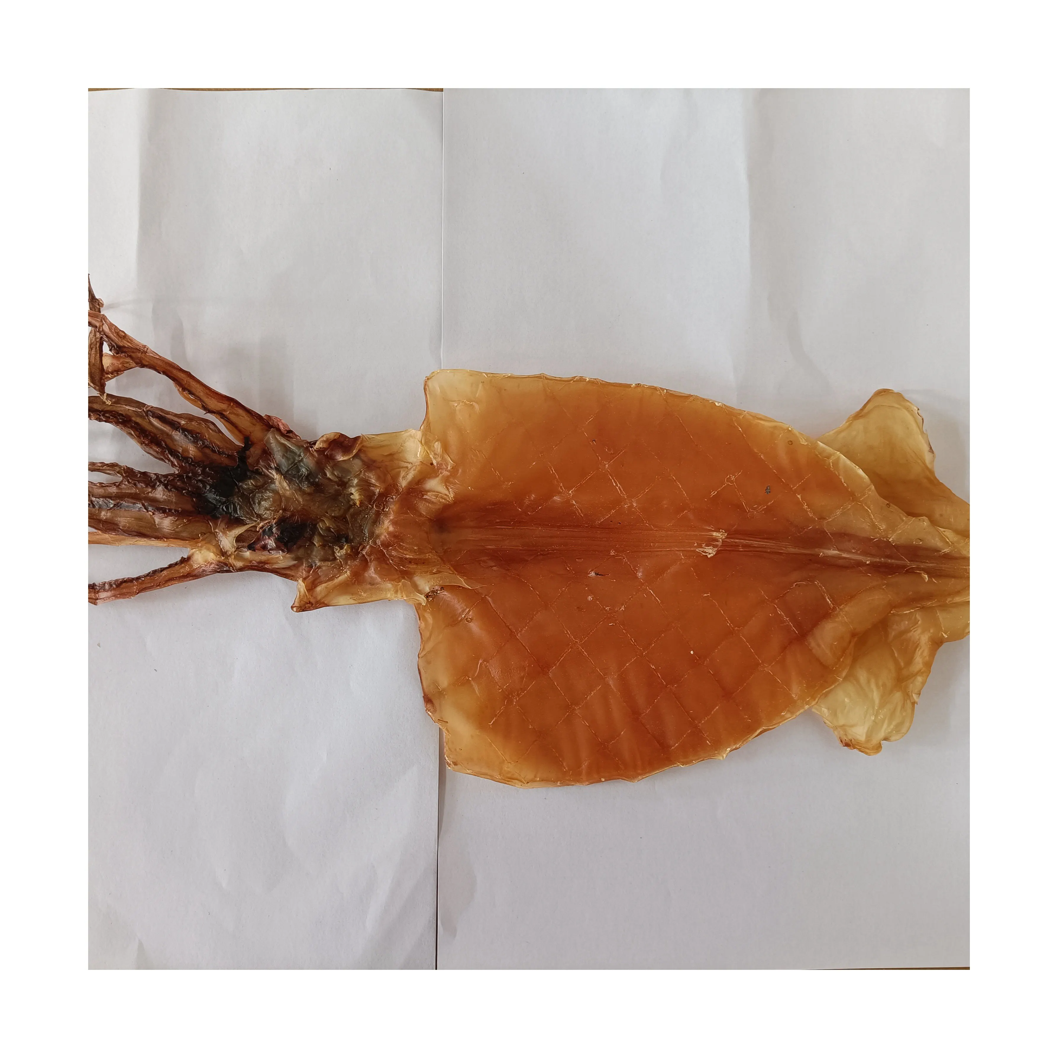 Производитель X929, цельный гигантский кальмар, 300-500 г сушеных кальмаров