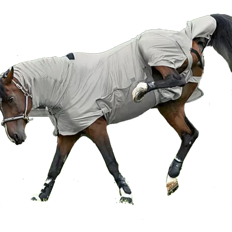 high protection full cover belly wrap horse fly rug combo horse rug equestrian horse riding