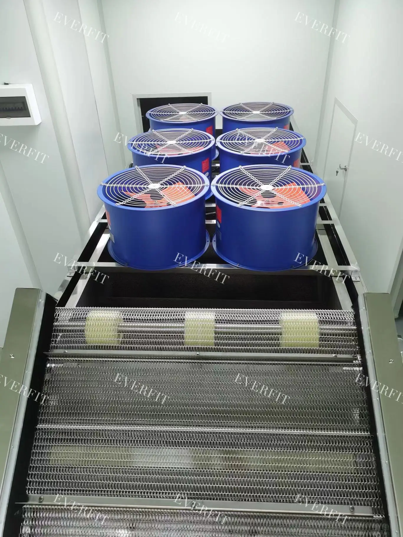 2024 Hot Style High Quality Wholesale Barhi Date Cleaning And Drying Nylon Brush Machine