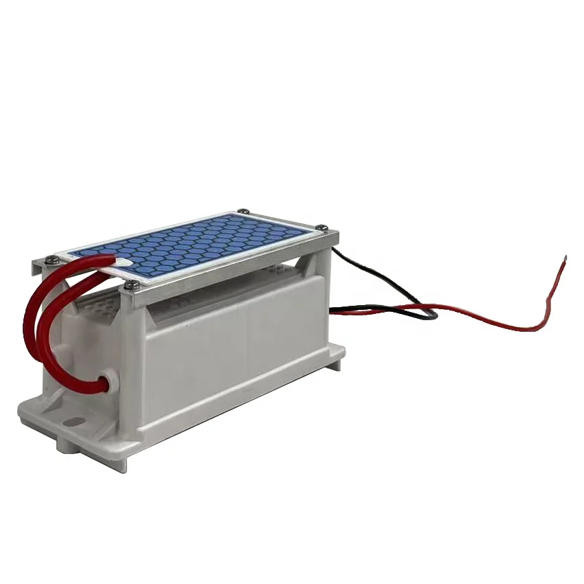 Ozone Generator - Ceramic Chip Ozone Generator - 5g/H,10g/H Output - Tank Heat Dissipation Upgrade