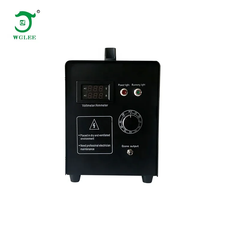 Foshan Wangeli Air Cooling 3G/H Ozone Generator Medical Therapy Machine