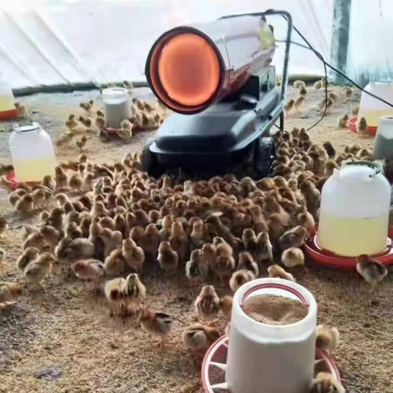 The Best Quality Stainless Steel Heating Lamp For Chicks for Farm or Ranch and Workshop