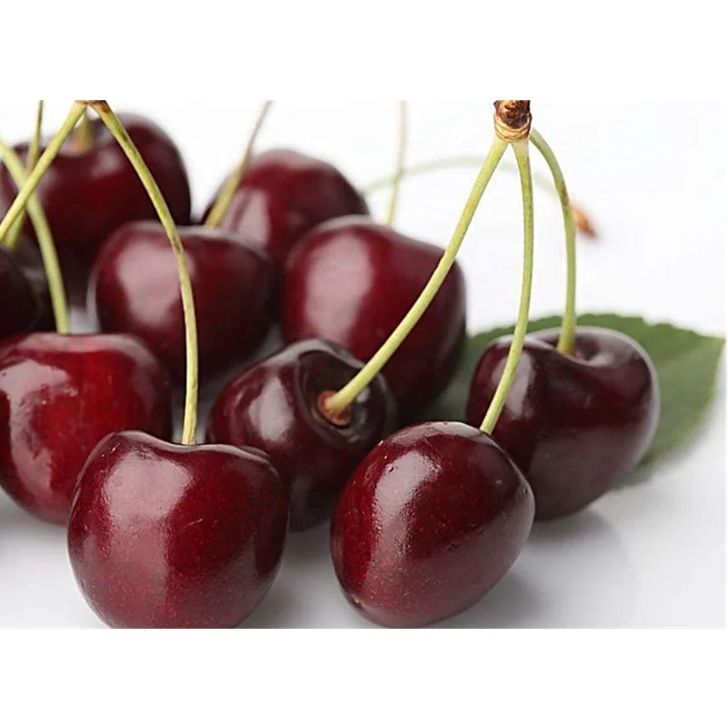 Bulk Package Pitted Product Exported Frozen Fruit IQF Sour Cherry