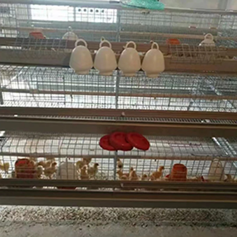 Automatic Steel A-Type H-Type Chicken Coop Enriched Chicken Cage for Laying Hens China Poultry Farms Home Use Retail Industries