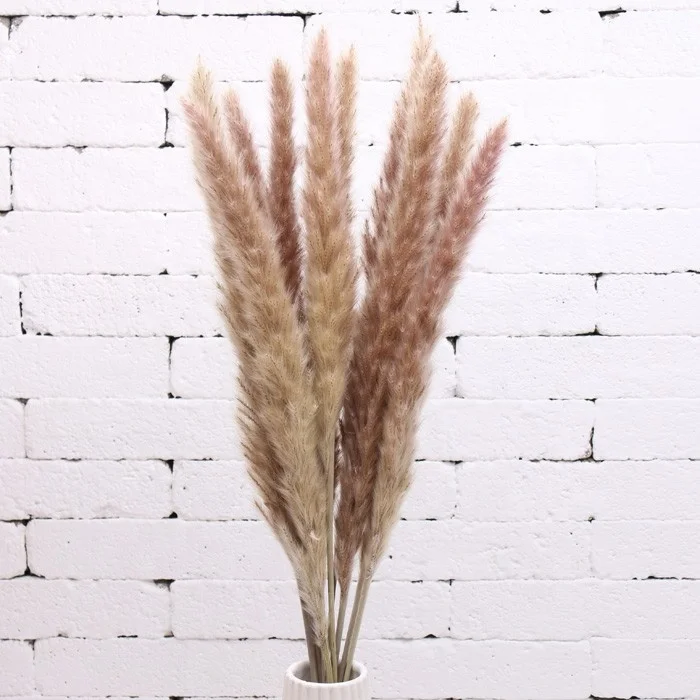 
Wholesale 100% natural Yunnan dried pampas grass decorative flowers 