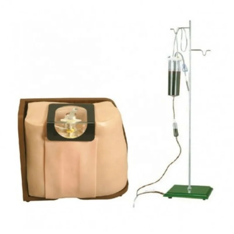 DARHMMY Medical Science Spinal Puncture Model for Clinical Practice and Punctures Training