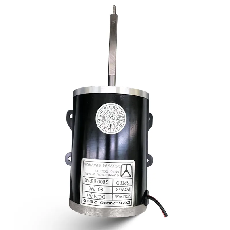 China Supplier Custom Mini Brushed 76 Mm 80W 100W 150W 12 Volt 2800 Rpm Electric Motor
