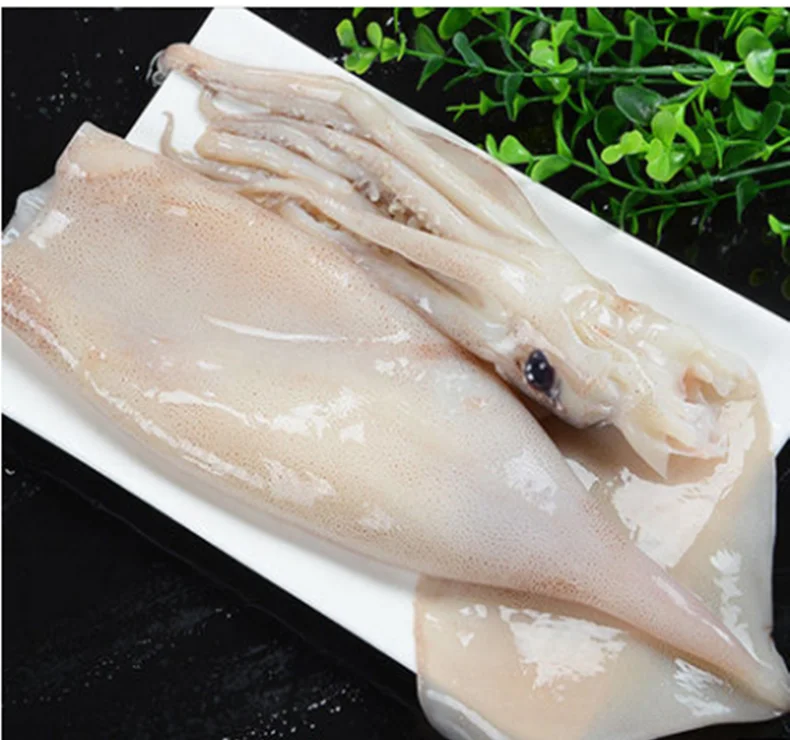 Блюдо из Шаньдун океанской деревни морепродукты высокого качества Illex каламари весь замороженный оптовая
