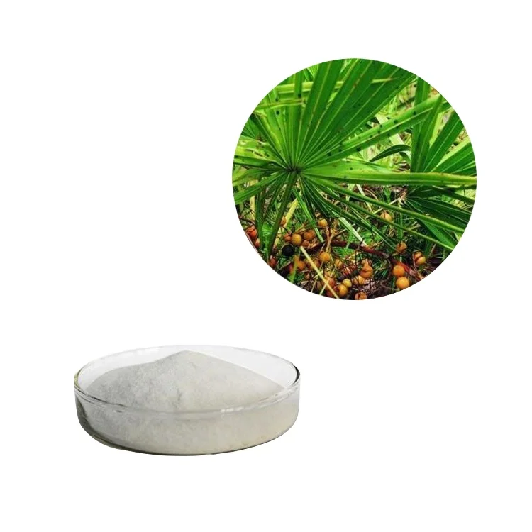 High Quality Health Care Herbal Saw Palm Extract Powder 10:1 Saw Palm Extract