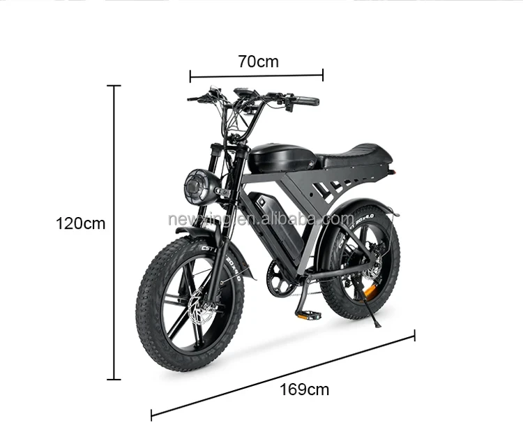 20*4inch V30 Fatbike electric  city  bike dirt ebike delivery e bike  bicycle electric bicycle 2 battery  Long mileage  off road