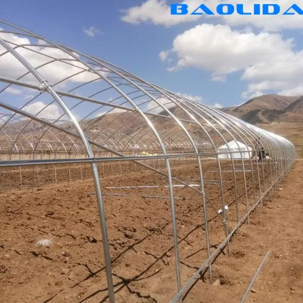 Poultry Farm Used Agricultural  Plastic  Greenhouse