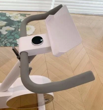 Factory Price Weight Loss Adjustable Speed Magnetic Exercise Cycling Bicycle