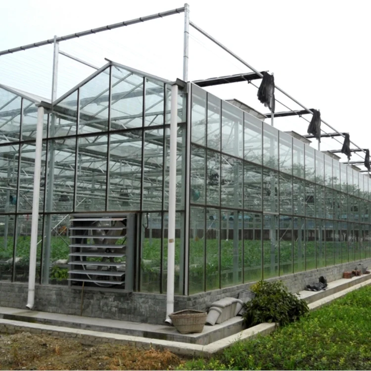 Modern venlo Polycarbonate Glass farming greenhouse Multi-Span Commercial pc sheet Greenhouses Prefab green house overall system