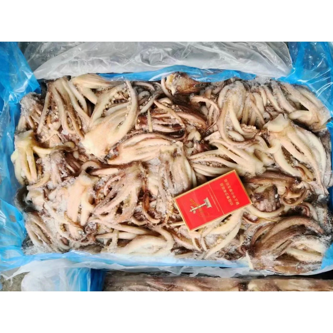 80-120g Landfrozen Todarodes Pacificus/Japanese Squid Tentacles Squid Head