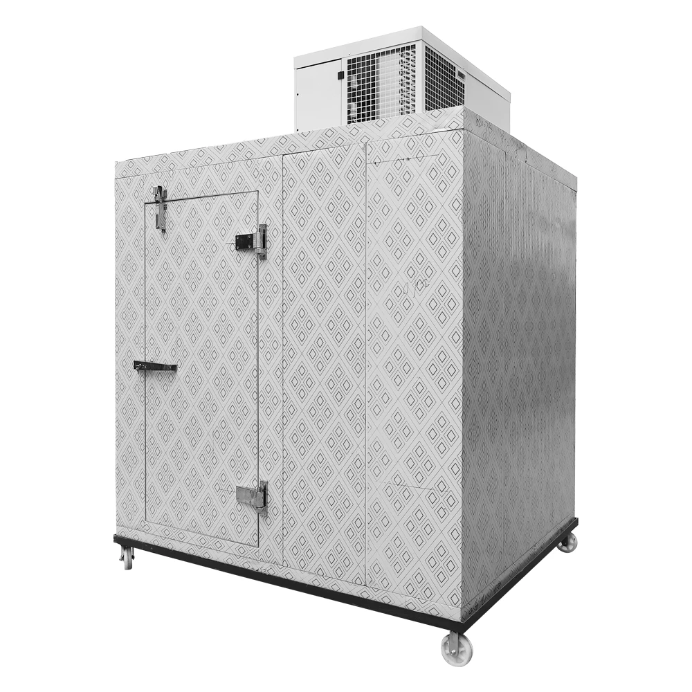 China Cold storage manufacturer Mini Cold Storage sells portable cold storage preservation food